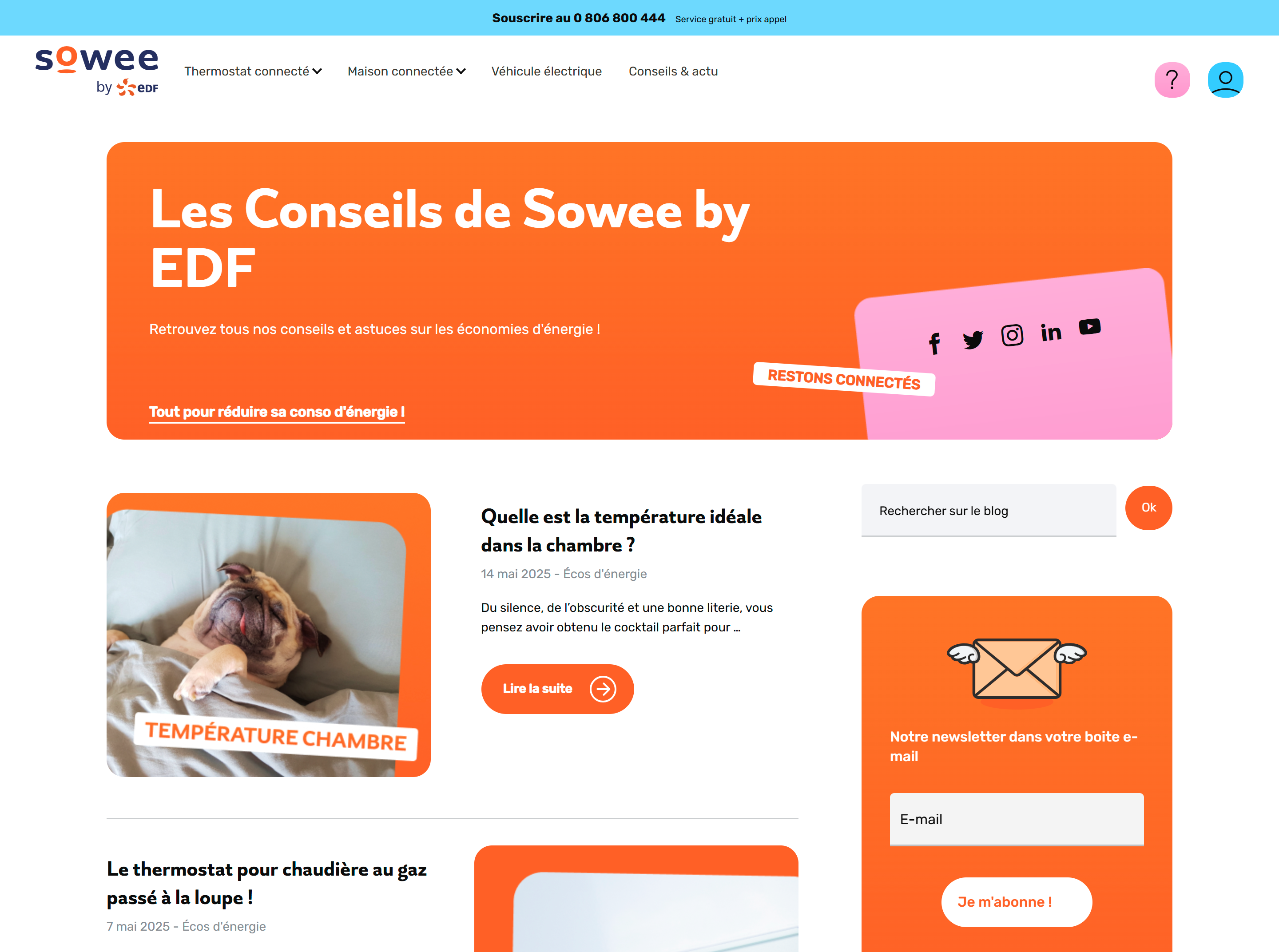 Interface de la section blog Sowee